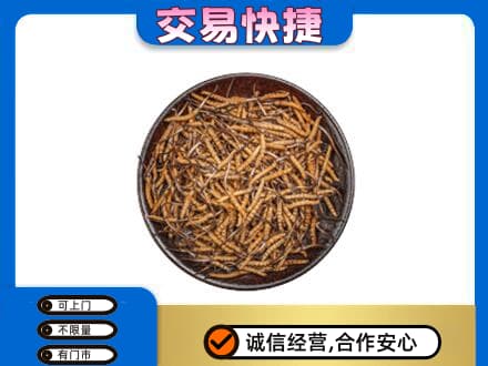 保定市徐水高价回收散虫草